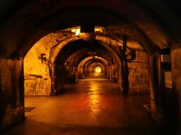 ANLVA EHB TROYES 7-11 MAY 2024 IMG_5782